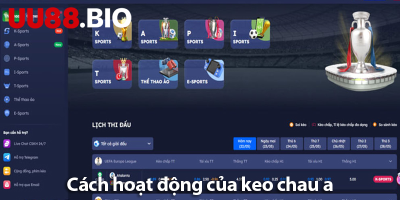 Chiến lược và bí quyết chơi kèo châu Á dành cho tân thủ